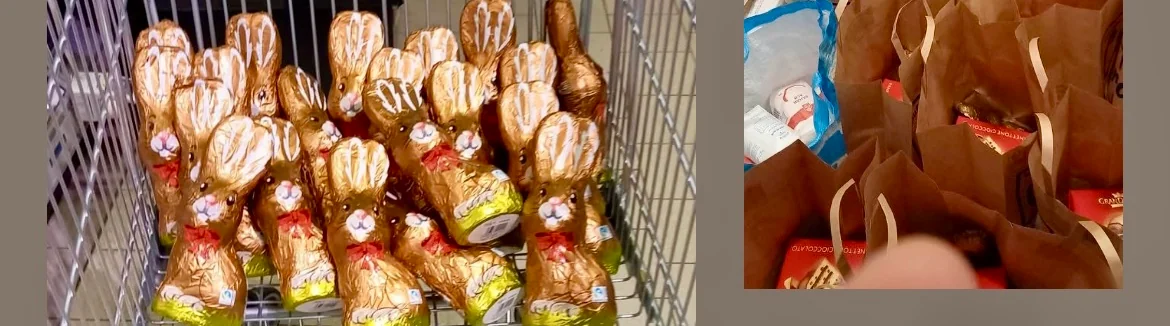 iepuras-soroptimist-pp