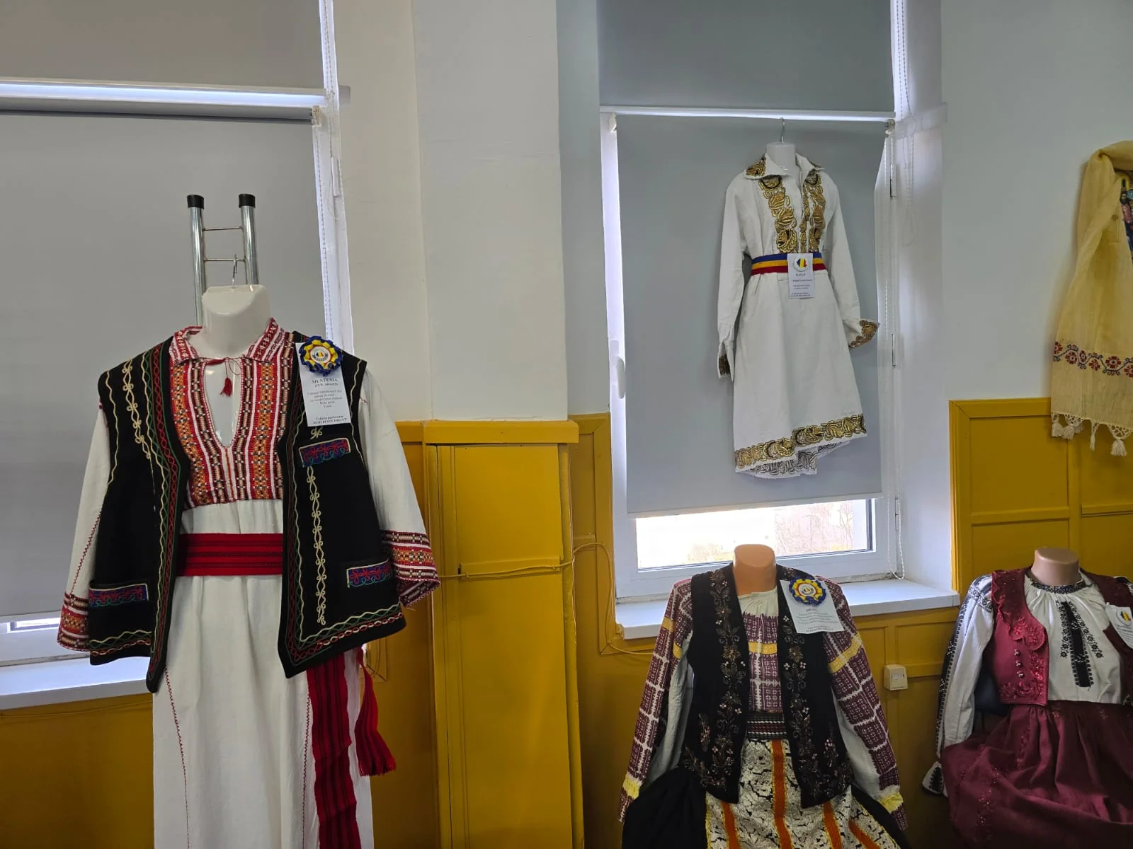 romania-soroptimista-01