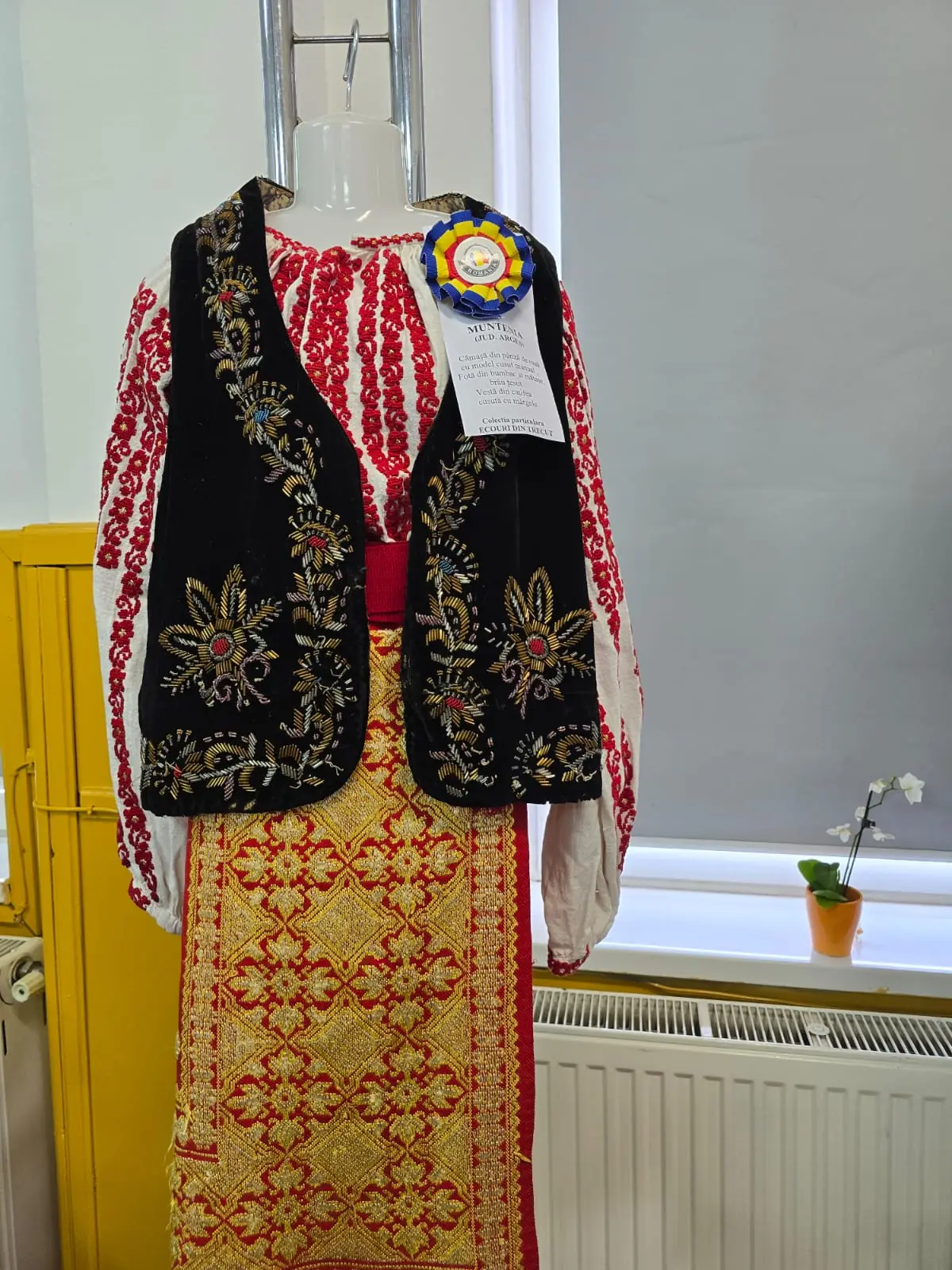 romania-soroptimista-03