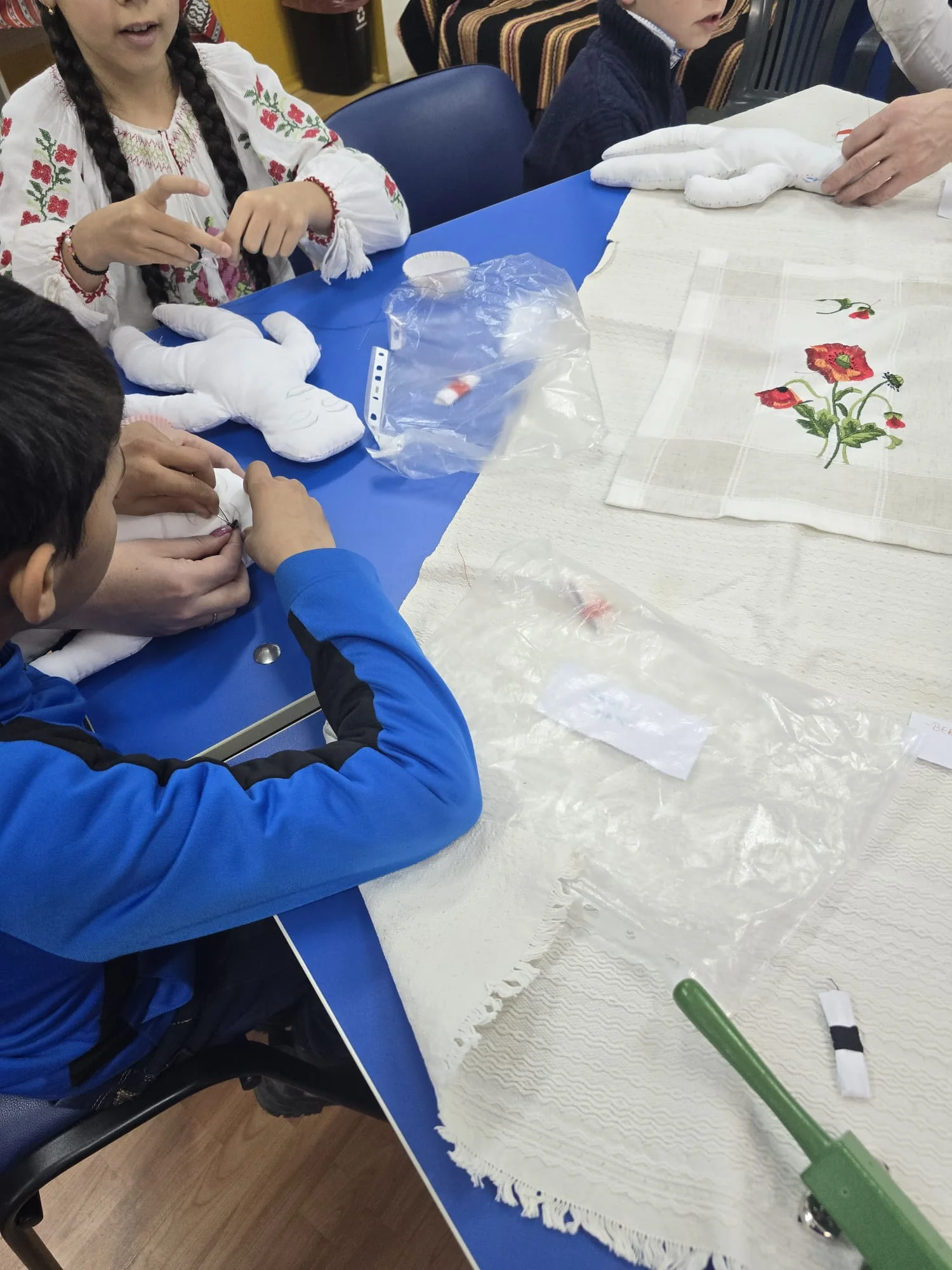 romania-soroptimista-04