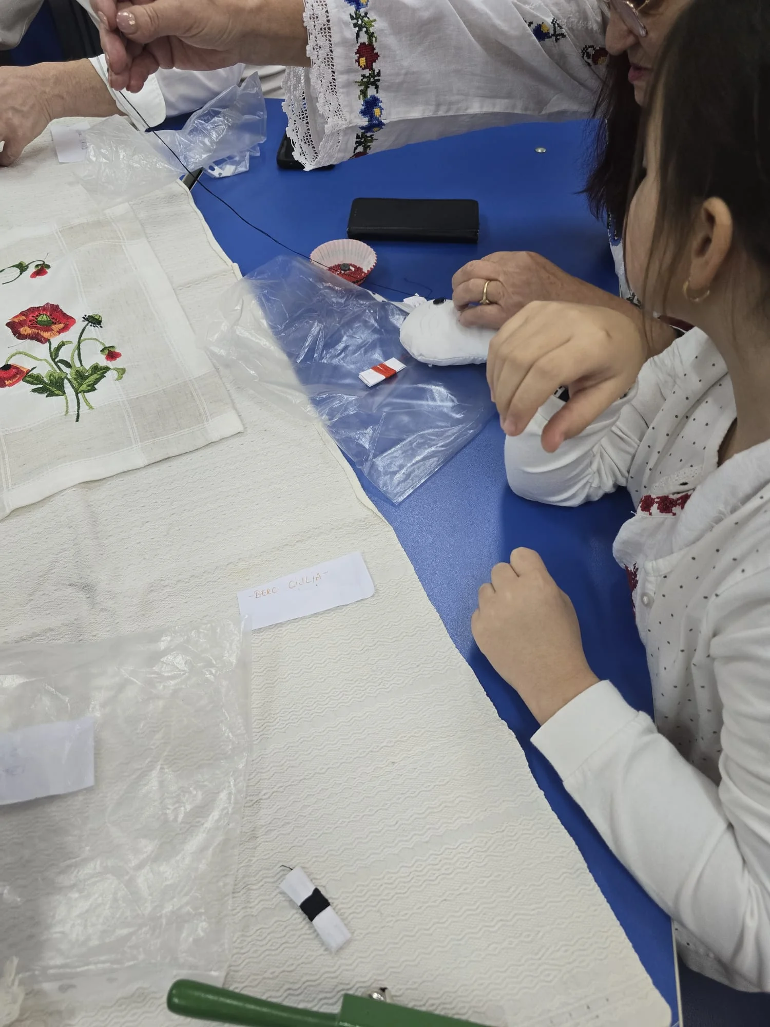 romania-soroptimista-06