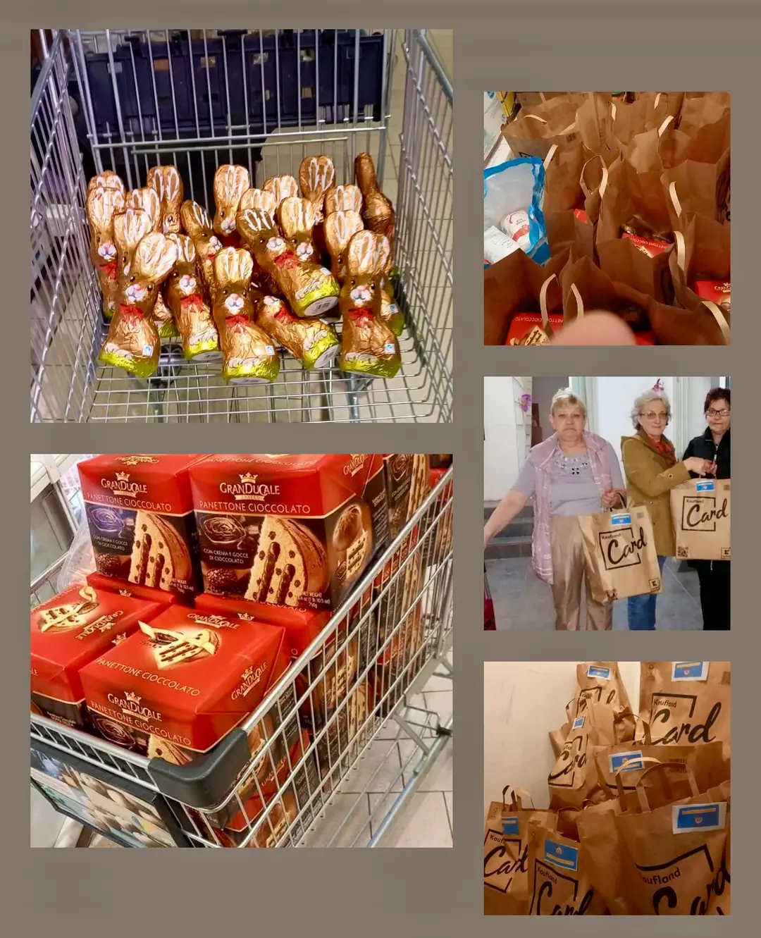 iepuras-soroptimist-1