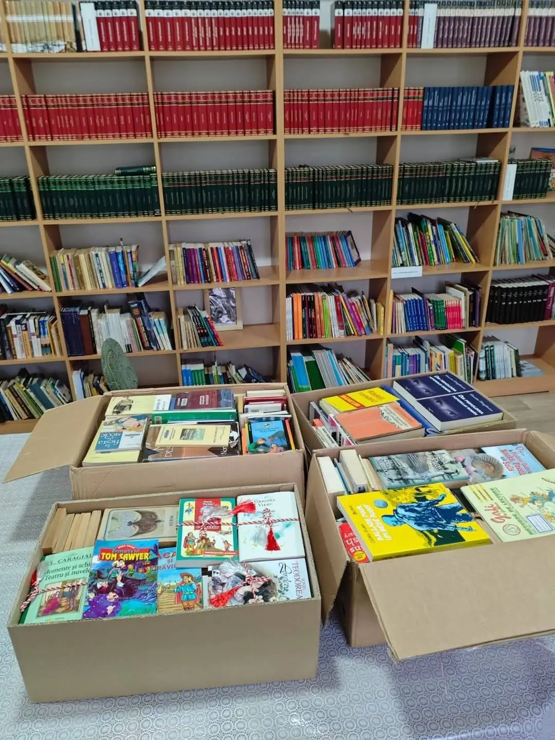 literatura-prietenie-7